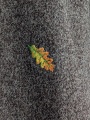 PXL_20261001_092432674.jpg