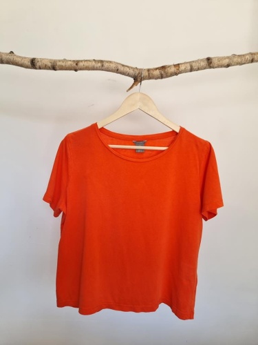 20240806_144216 (Copy).jpg